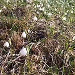 Penzion La Libellula Rossa Puos dʼAlpago